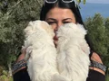 0 NUMARA MALTESE TERRİER YAVRULARIMIZ