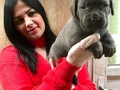 İTALYAN MASTİF CORSO YAVRULARIMIZ 