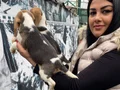 SAFKAN ELİZABET BEAGLE YAVRULARIM