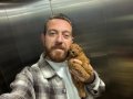 Türkiye’nin en güzel Toy Poodle yavruları 