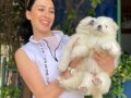 Samoyed yavrularım sağlık ve ırk garantilidir 