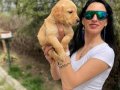 Golden retriver yavrularım sağlık ve ırk garantilidir 