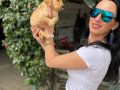 Golden retriver yavrularım sağlık ve ırk garantilidir 