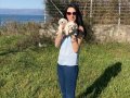 Maltede yavrularım sağlık ve ırk garantilidir 