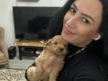 Maltipoo  ev üretimi yavrularım sağlık ve ırk garantilidir