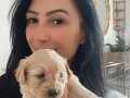 Maltipoo yavrularım sağlık ve ırk garantilidir 