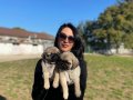 Pug yavrularım sağlık ve ırk garantilidir 