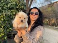 Chowchow yavrularım sağlık ve ırk garantilidir 