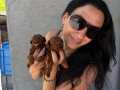 Kore ve toy poddle yavrularım sağlık ve ırk garantilidir