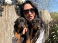 Doberman europan yavrularım mevcuttur 