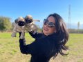 Pug yavrularım sağlık ve ırk garantilidir 