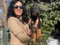 Doberman yavrularım sağlık ve ırk garantilidir 