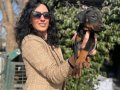 Doberman yavrularım sağlık ve ırk garantilidir 