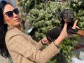 Doberman yavrularım sağlık ve ırk garantilidir 