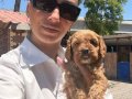 Maltipoo yavrularım sağlık ve ırk garantilidir 