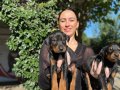 Doberman yavrularım sağlıkla ve garantilidir