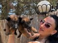 Belçika kurdu malinois yavrular ırk ve sağlık garantili 