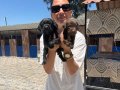 Labrador retriver yavrularım sağlık ve ırk garantilidir 
