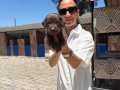 Labrador retriver yavrularım sağlık ve ırk garantilidir 