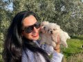 Maltese terrier yavrularım sağlık ve ırk garantilidir 
