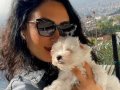 Maltese terrier yavrularım sağlık ve ırk garantilidir 