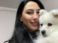 Samoyed Yavrularım sağlık ve garantilidir