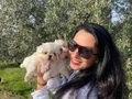 Maltese terier yavrularım sağlık ve ırk garantilidir 