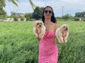 Maltipoo yavrularım sağlık ve ırk garantilidir 