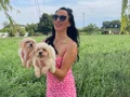 Maltipoo yavrularım sağlık ve ırk garantilidir 