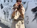 Beagle yavrularım sağlık ve ırk garantilidir