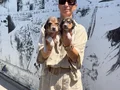 Beagle yavrularım sağlık ve ırk garantilidir