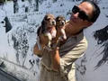 Beagle yavrularım sağlık ve ırk garantilidir