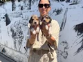 Beagle yavrularım sağlık ve ırk garantilidir
