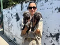 Cane Corso yavrularım sağlık ve garantilidir