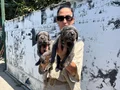Cane Corso yavrularım sağlık ve garantilidir