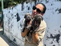 Cane Corso yavrularım sağlık ve garantilidir
