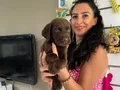Labrador yavrularım sağlık ve ırk garantilidir