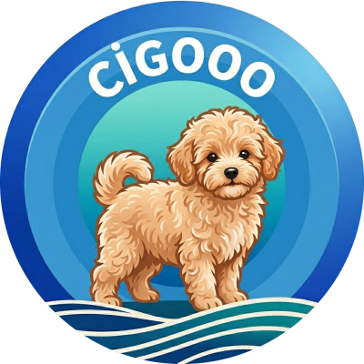 cigooo
