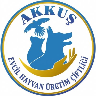 akkusuretim