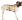 Bull Mastif
