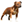 İngiliz Staffordshire Bull Terrier