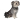 Terrier Maltese